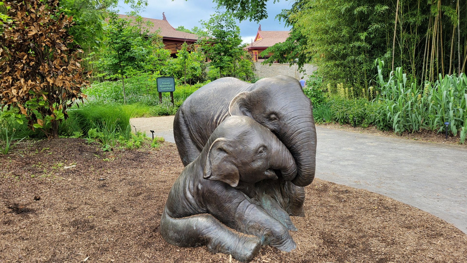 May. 2025 - NEW! Elephant Trek