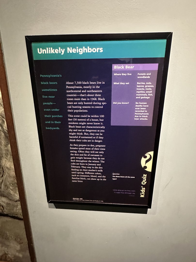 May 2025 - North America - Black Bear Signage