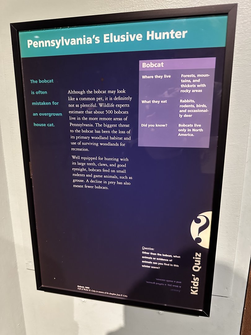 May 2025 - North America - Bobcat Signage