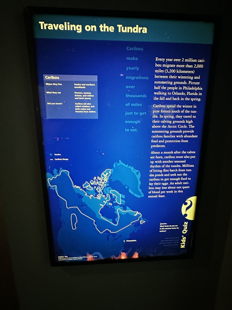 May 2025 - North America - Caribou Signage