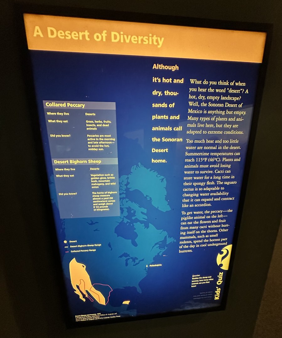 May 2025 - North America - Javelina / Bighorn Signage