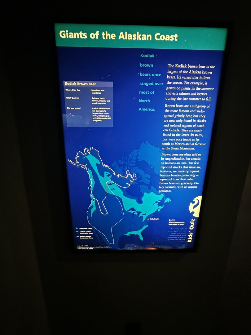 May 2025 - North America - Kodiak Bear Signage