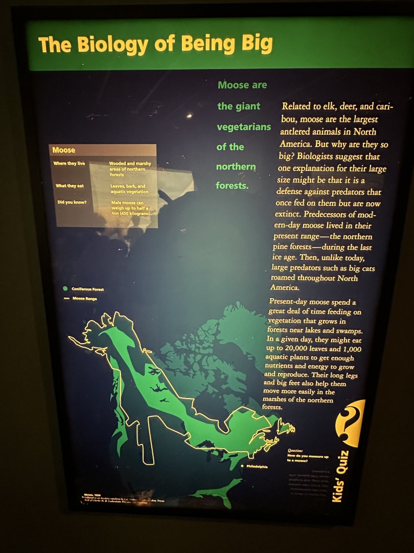 May 2025 - North America - Moose Signage