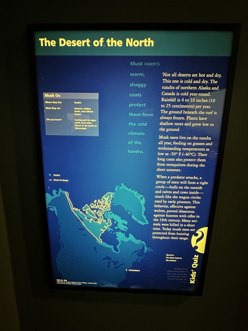 May 2025 - North America - Musk Ox Signage
