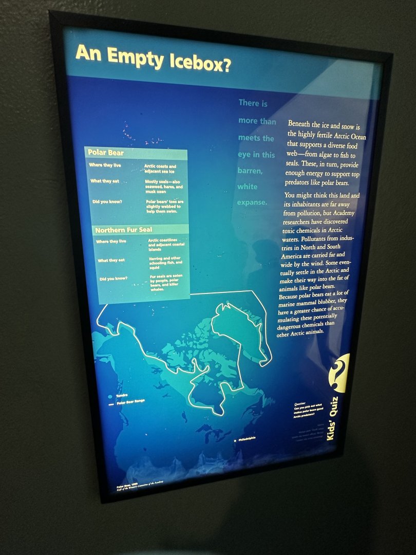 May 2025 - North America - Polar Bear Signage