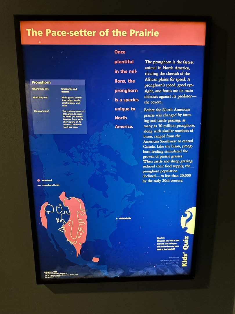 May 2025 - North America - Pronghorn Signage