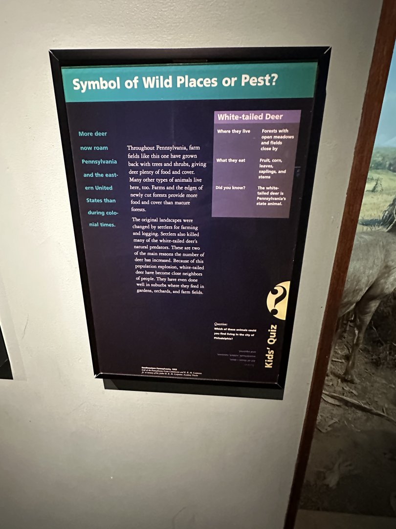 May 2025 - North America - White-Tailed Deer Signage