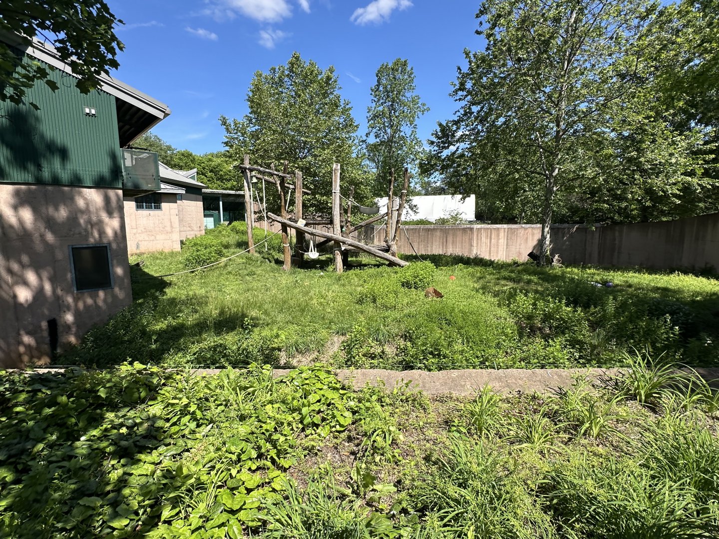 May 2025 - PECO Primate Reserve - (Empty) Gorilla Enclosure