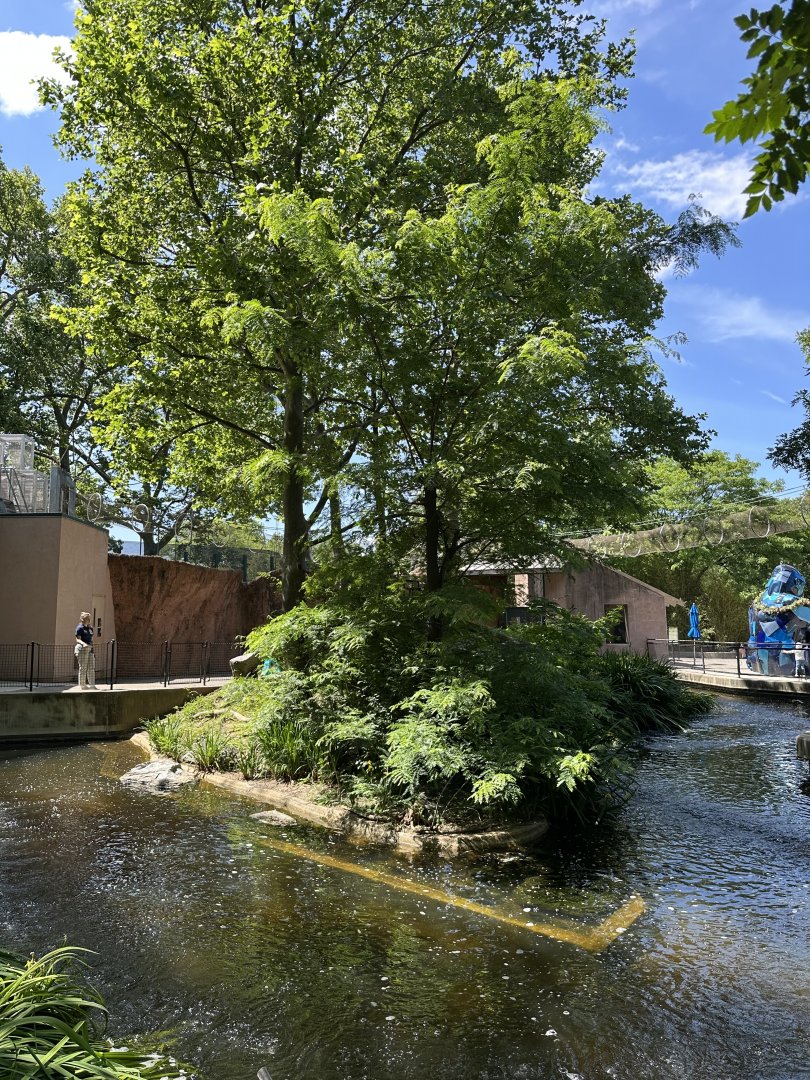 May 2025 - PECO Primate Reserve - Lemur Island