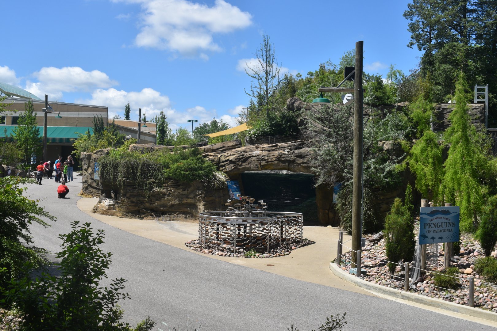 May. 2025 - Penguins of Patagonia