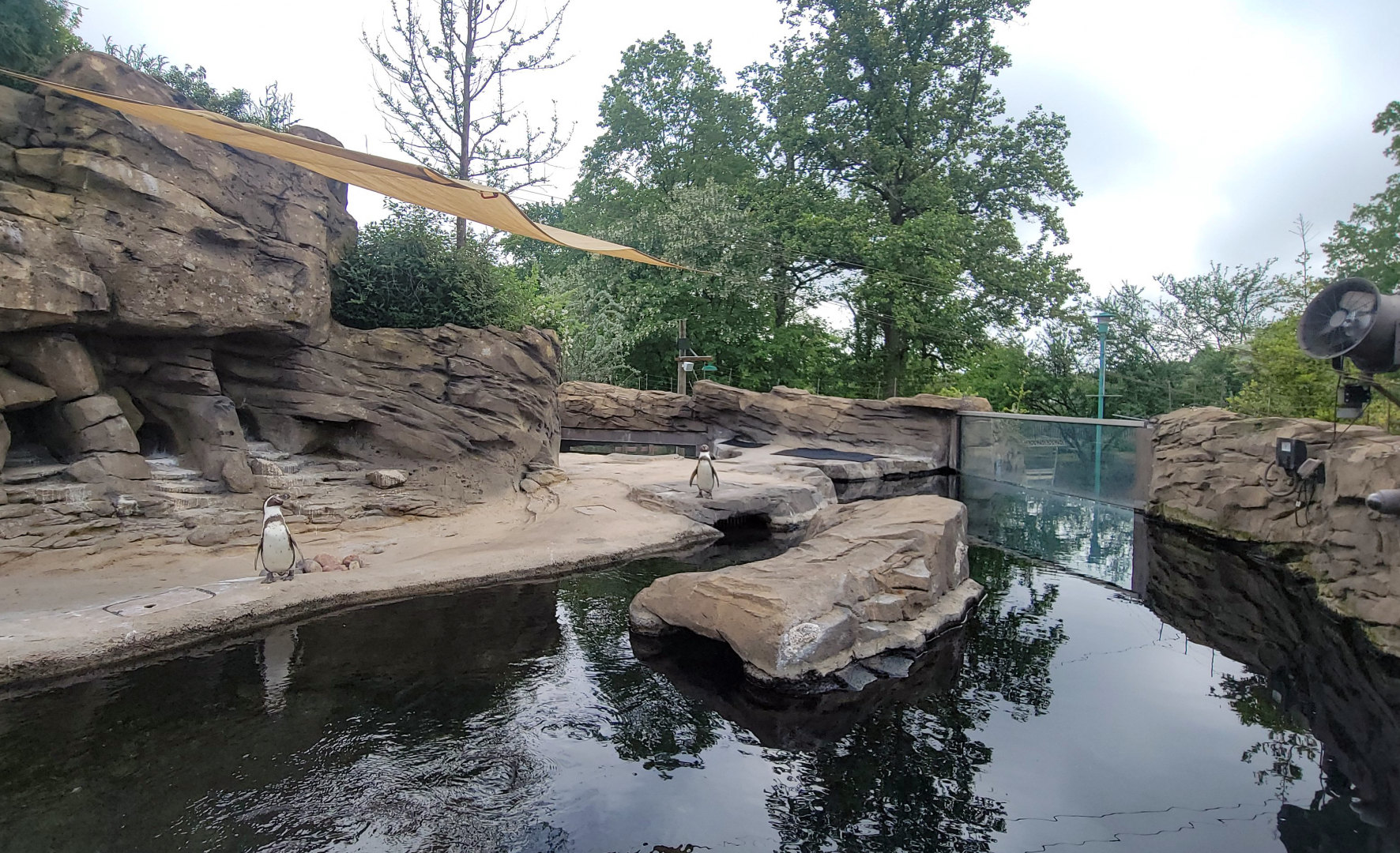 May. 2025 - Penguins of Patagonia