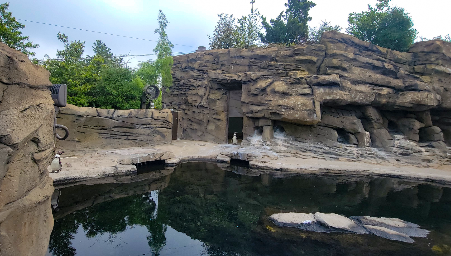 May. 2025 - Penguins of Patagonia