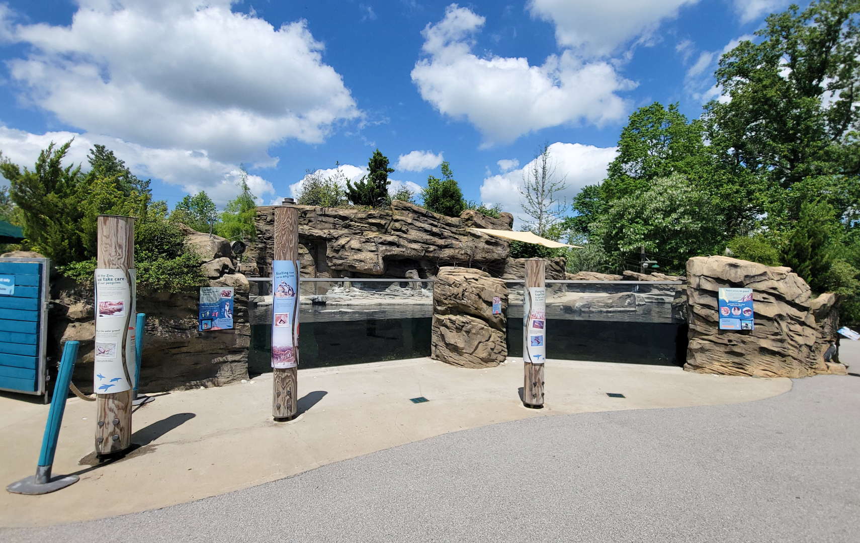 May. 2025 - Penguins of Patagonia