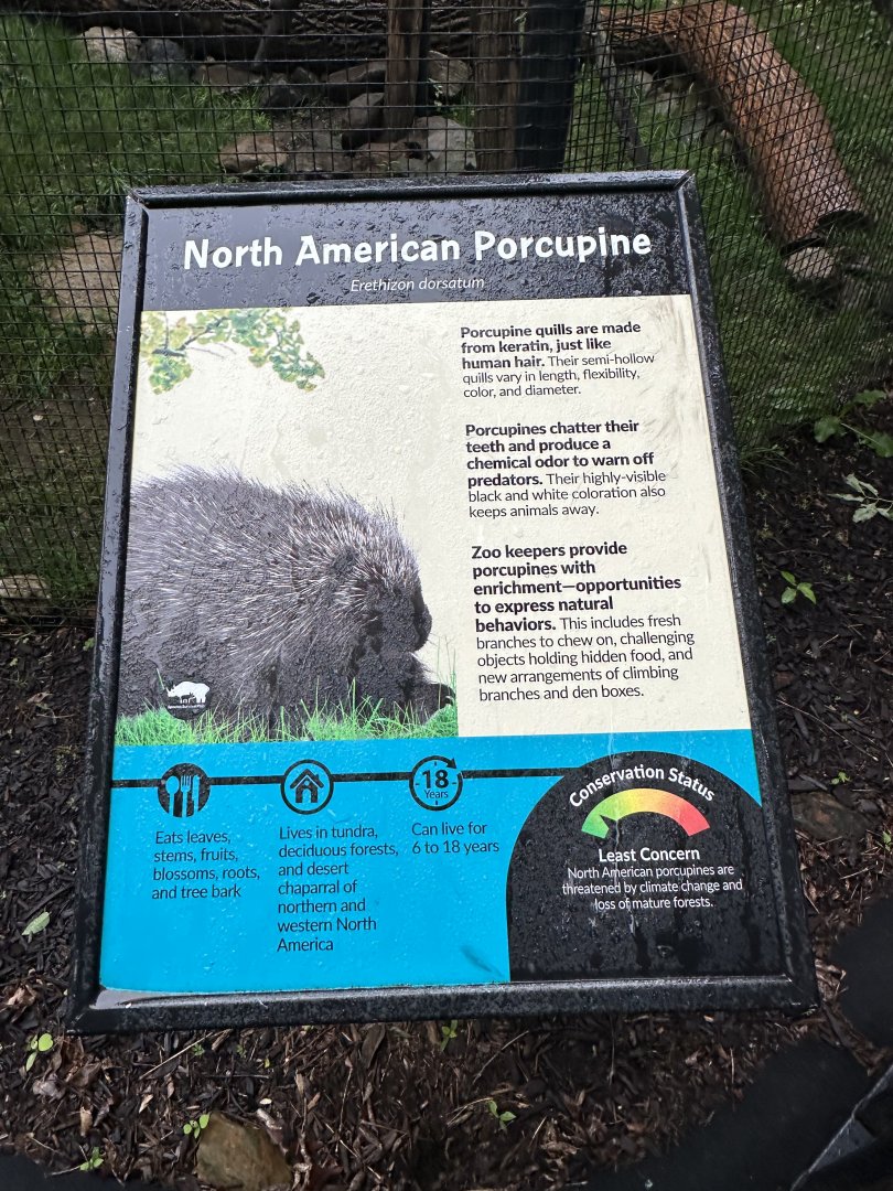 May 2025 - Porcupine Signage