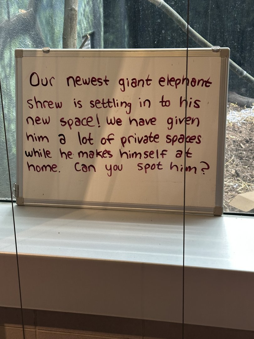 May 2025 - RACC - New Sengi Signage