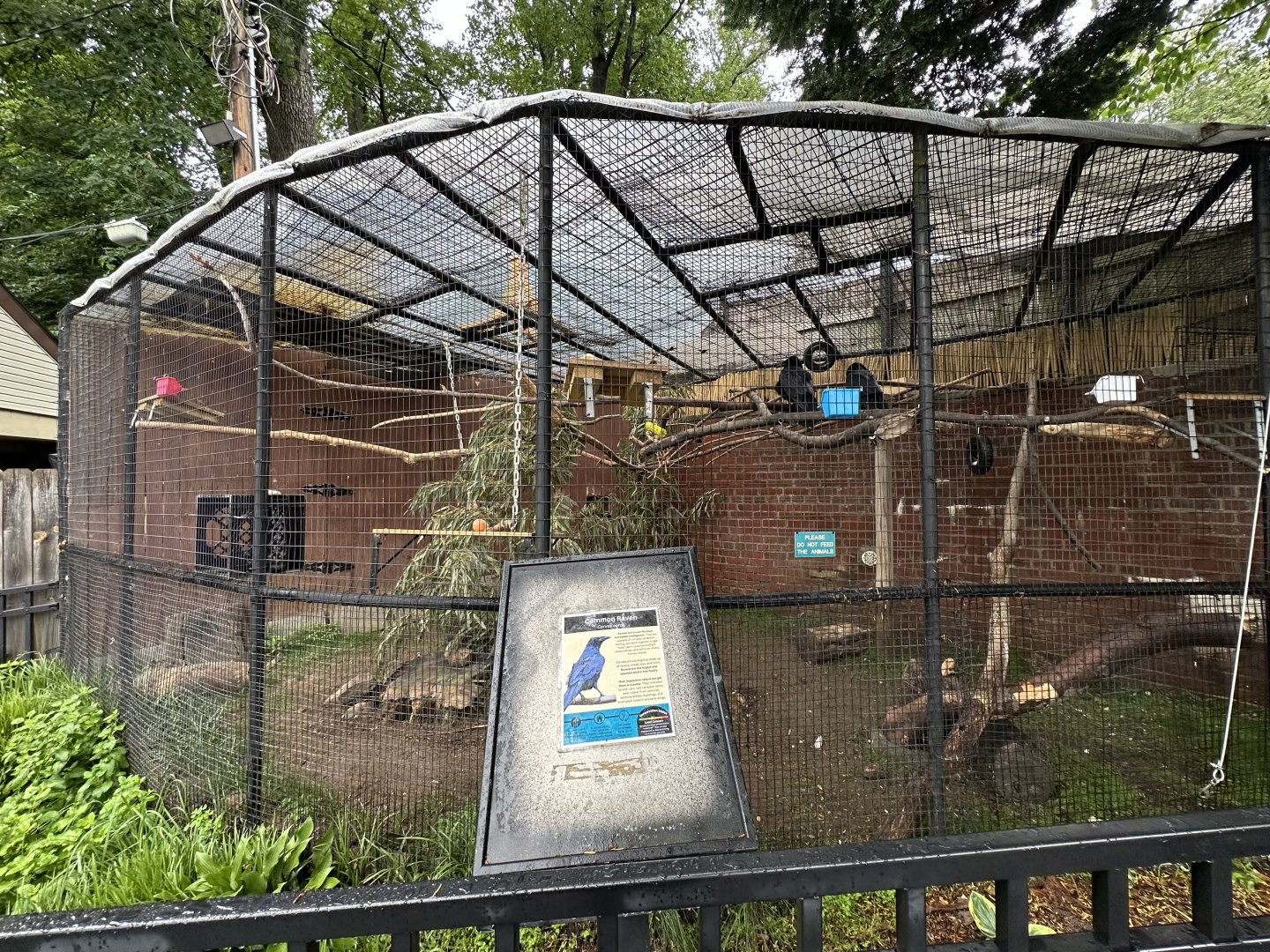 May 2025 - Raven Enclosure