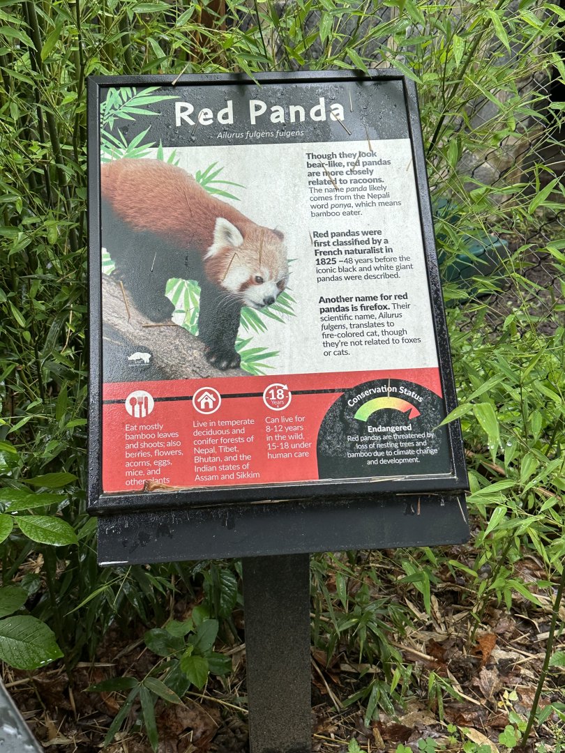 May 2025 - Red Panda Signage