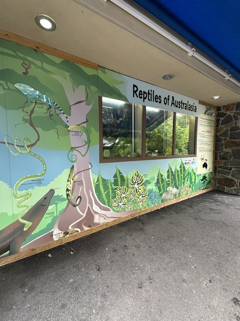 May 2025 - Reptiles of Australasia (all of it)