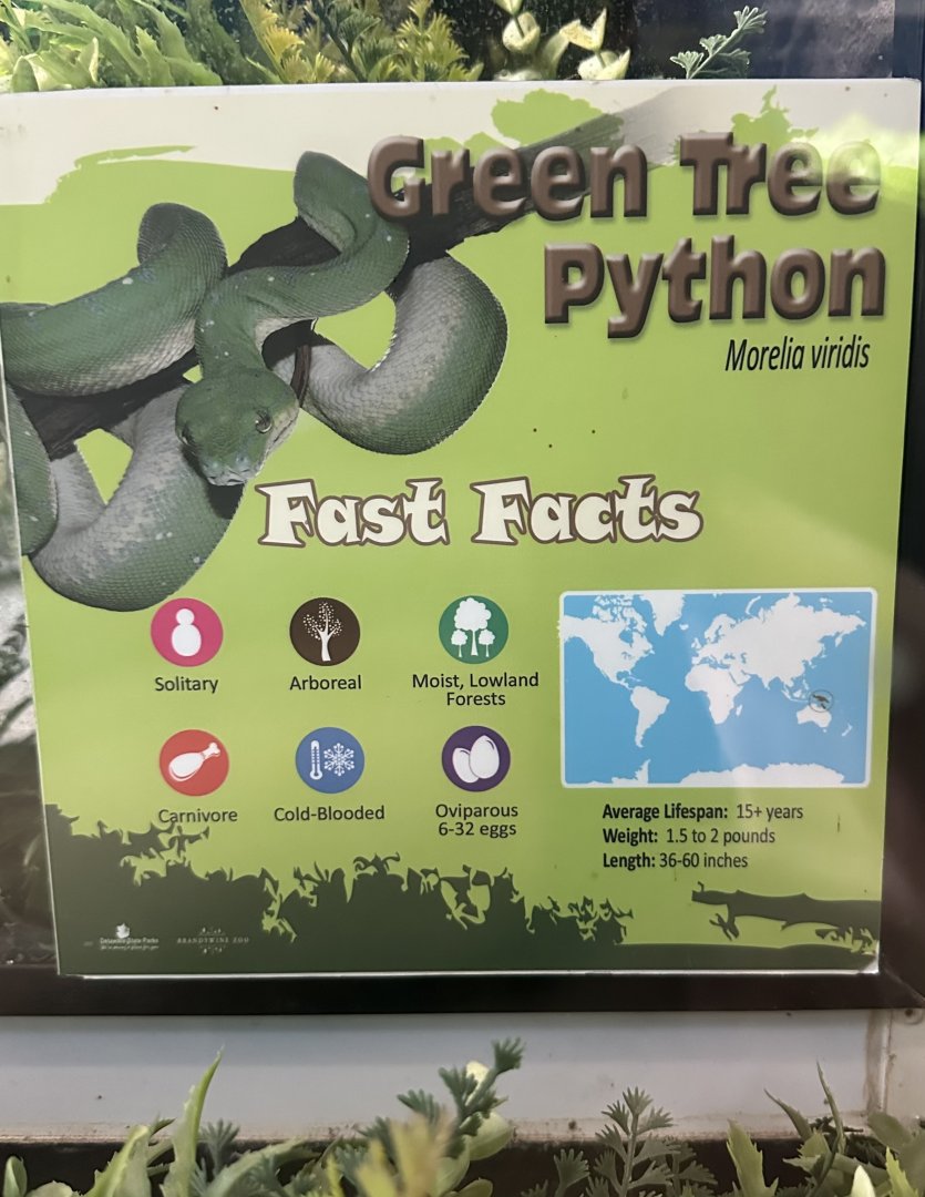 May 2025 - Reptiles of Australasia - Python Signage