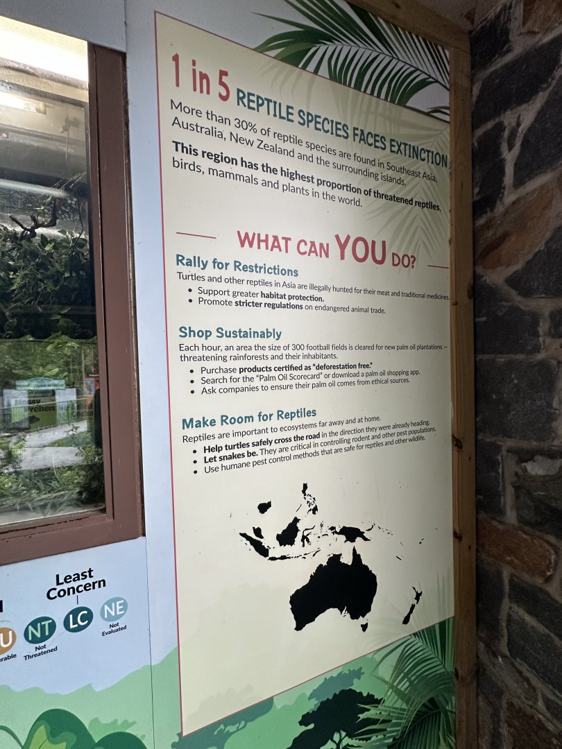 May 2025 - Reptiles of Australasia - Signage