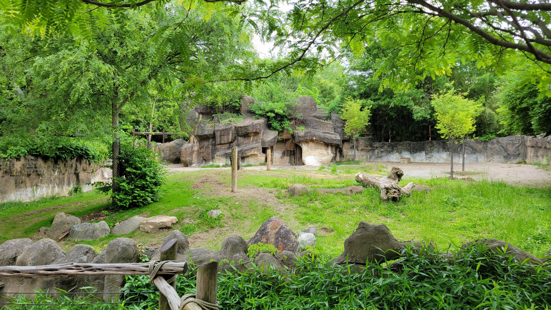 May. 2025 - Rhino Reserve - Plains Zebra Exhibit (Former Black Rhino)