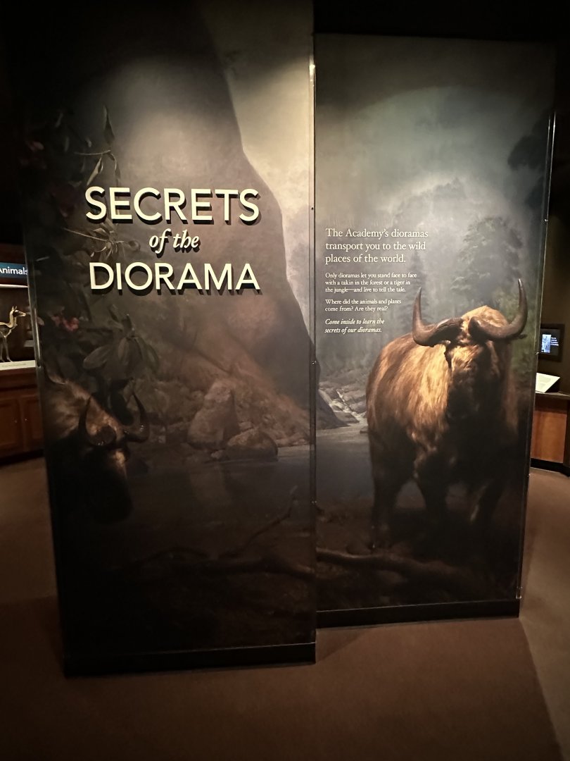 May 2025 - Secrets of the Diorama