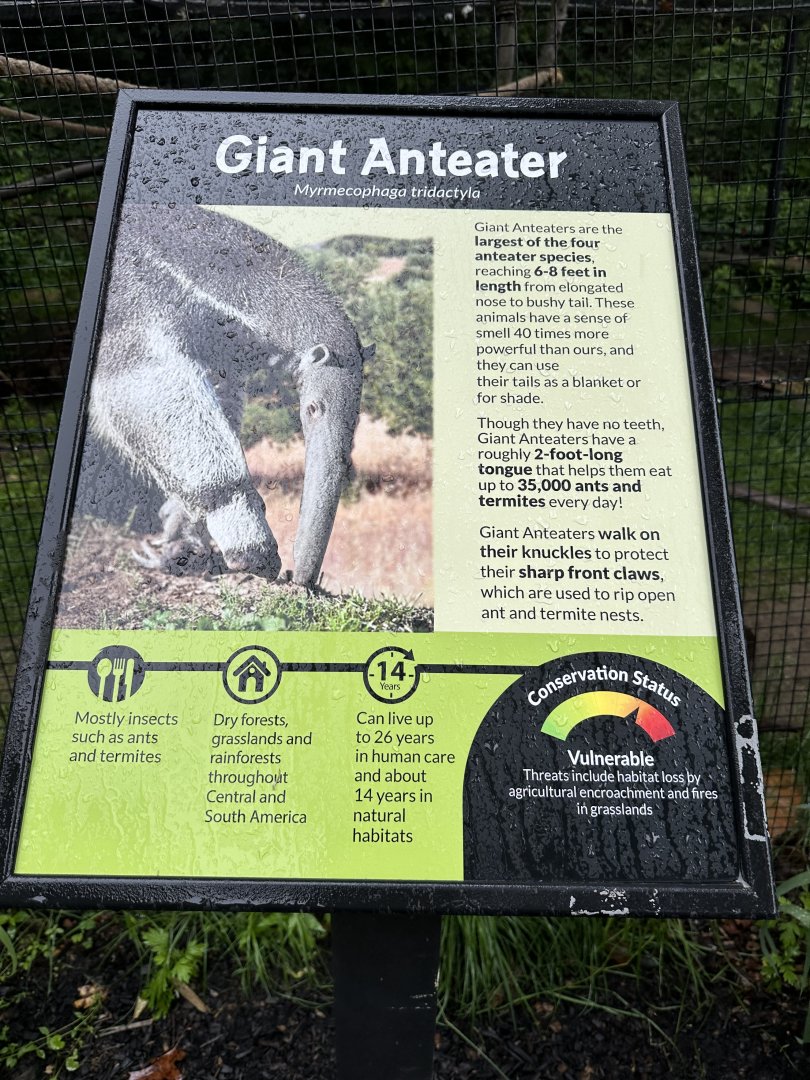 May 2025 - South American Aviary - Anteater Signage