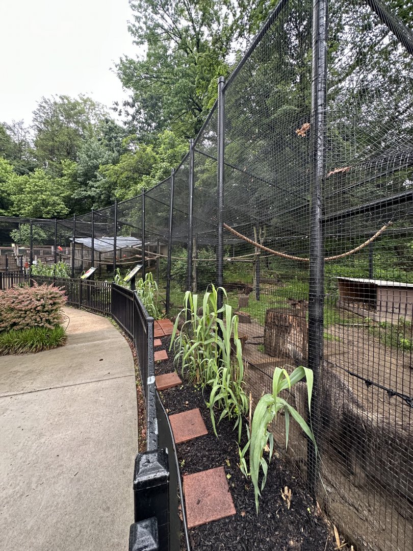 May 2025 - South American Aviary