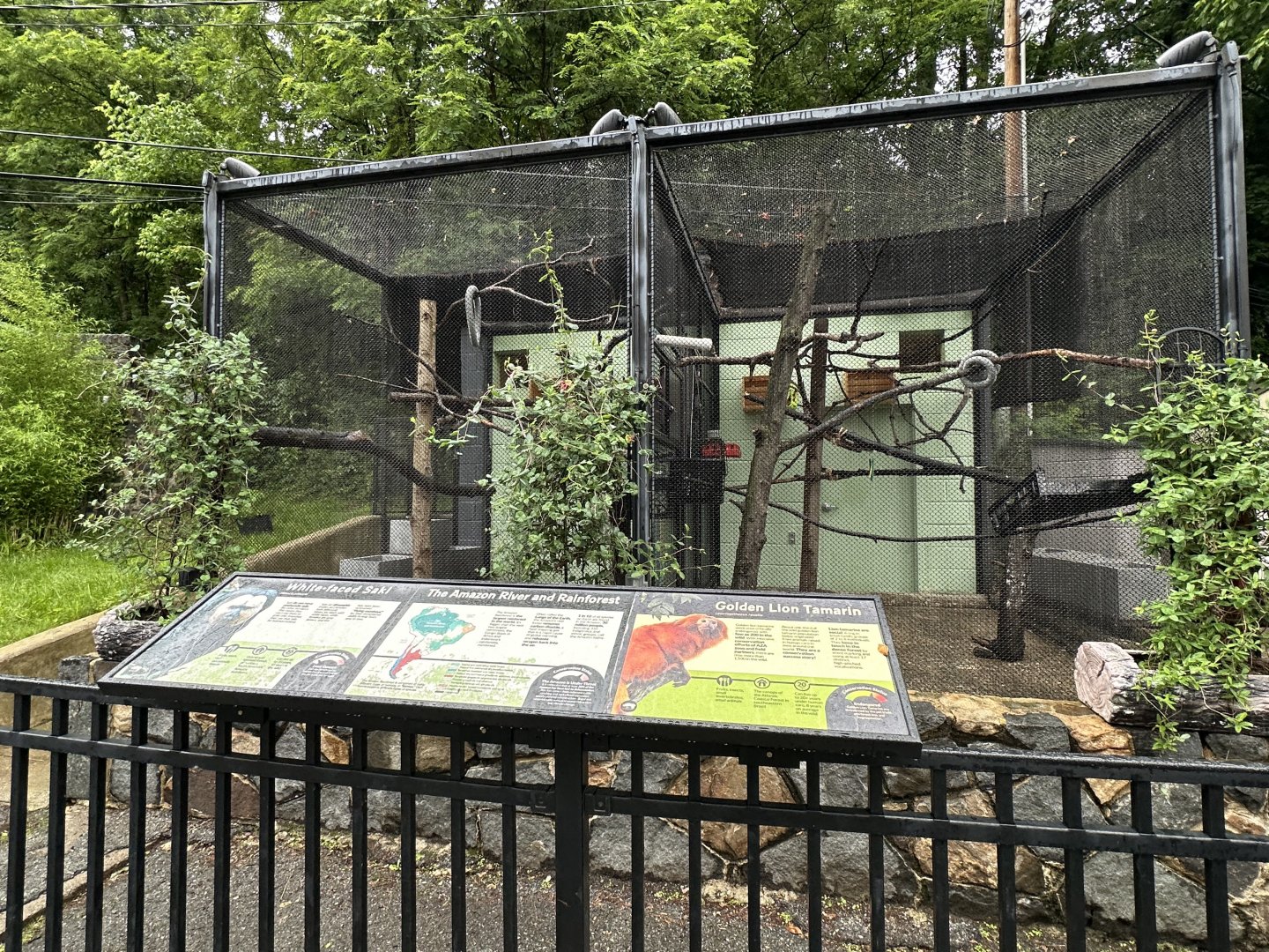 May 2025 - Tamarin & Saki Enclosures