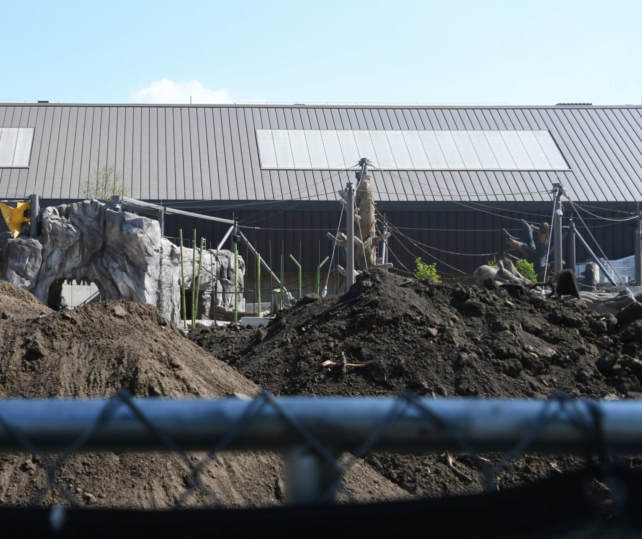 May 2025 - Tropical Forests construction: Orangutan exhibit