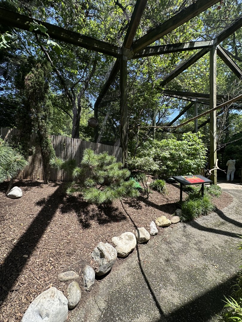 May 2025 - Wings of the World - General View