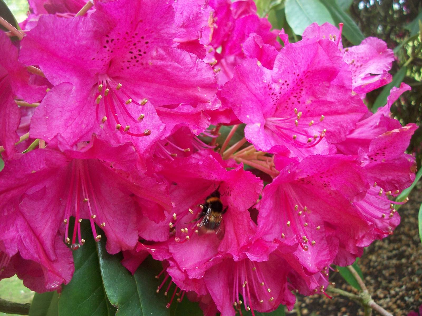 May comes around again, 9th May 2014