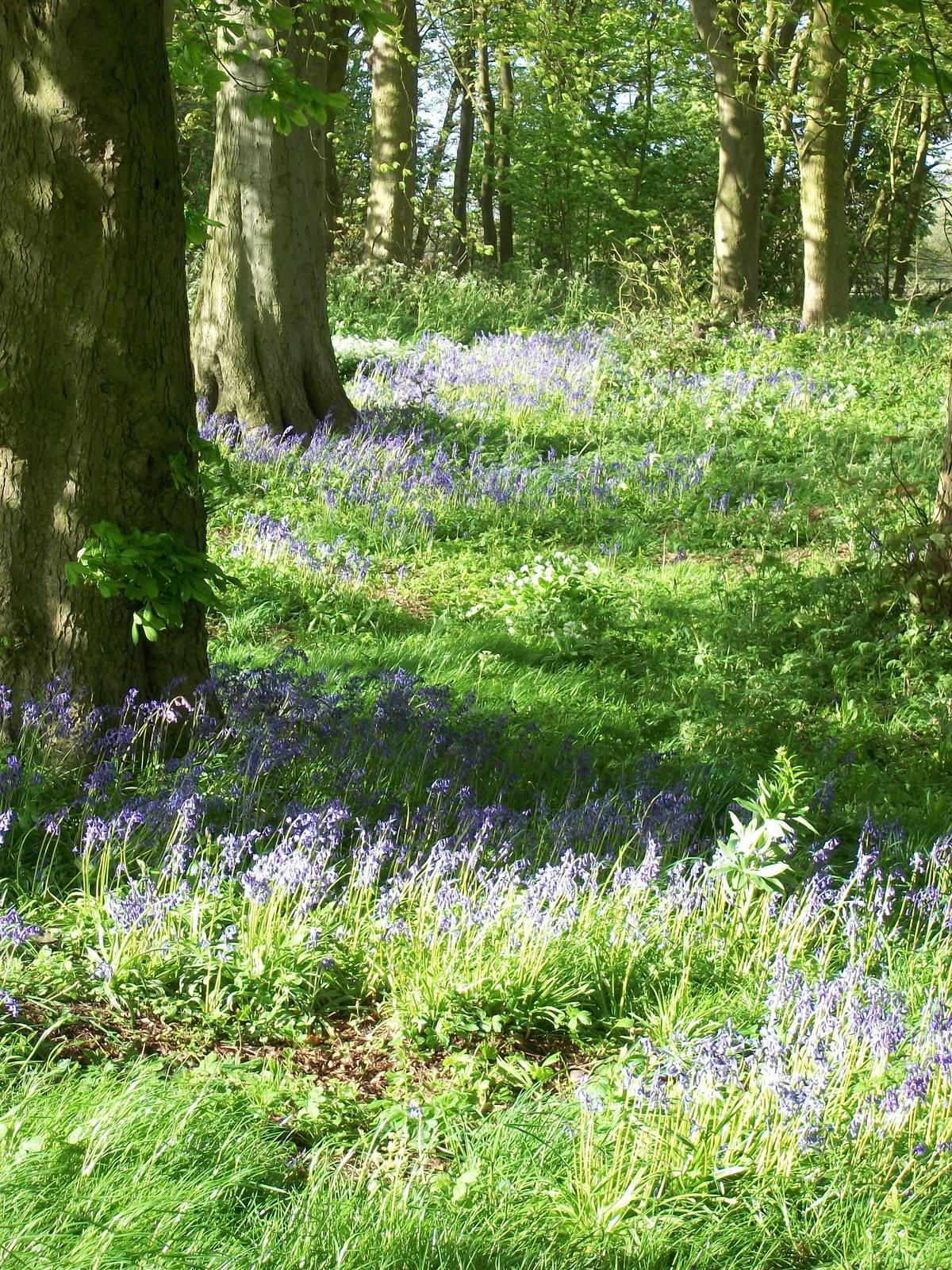 May comes around again, 9th May 2014