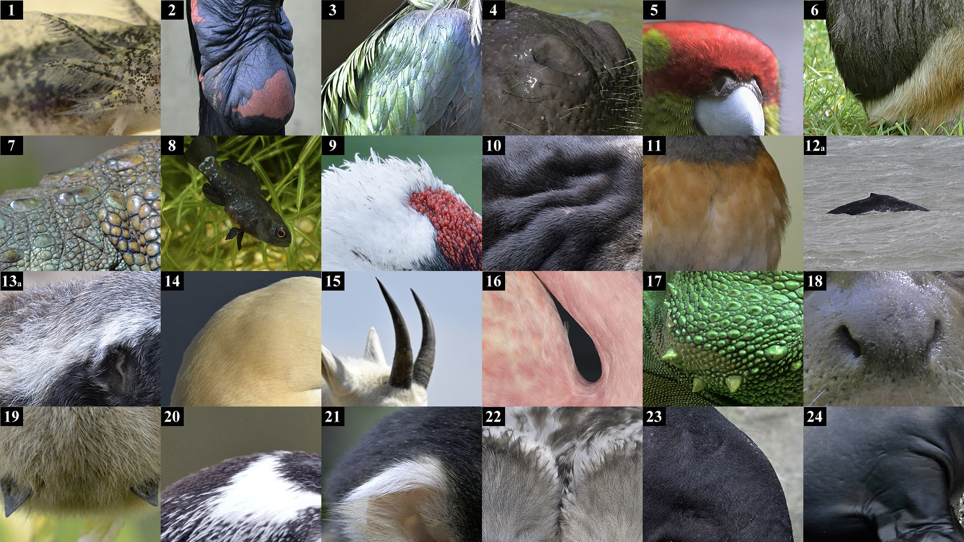 May Day Lockdown Puzzle with Order Corrected