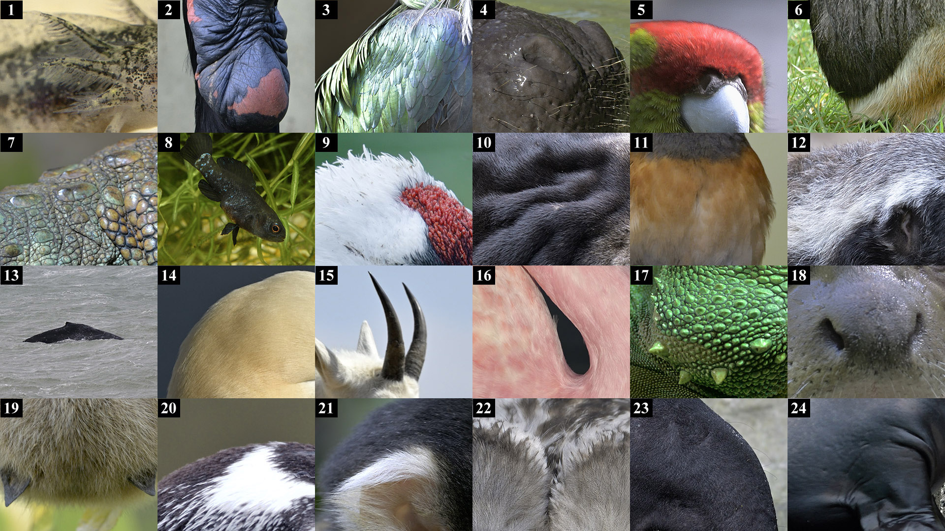 May Day Lockdown Puzzle