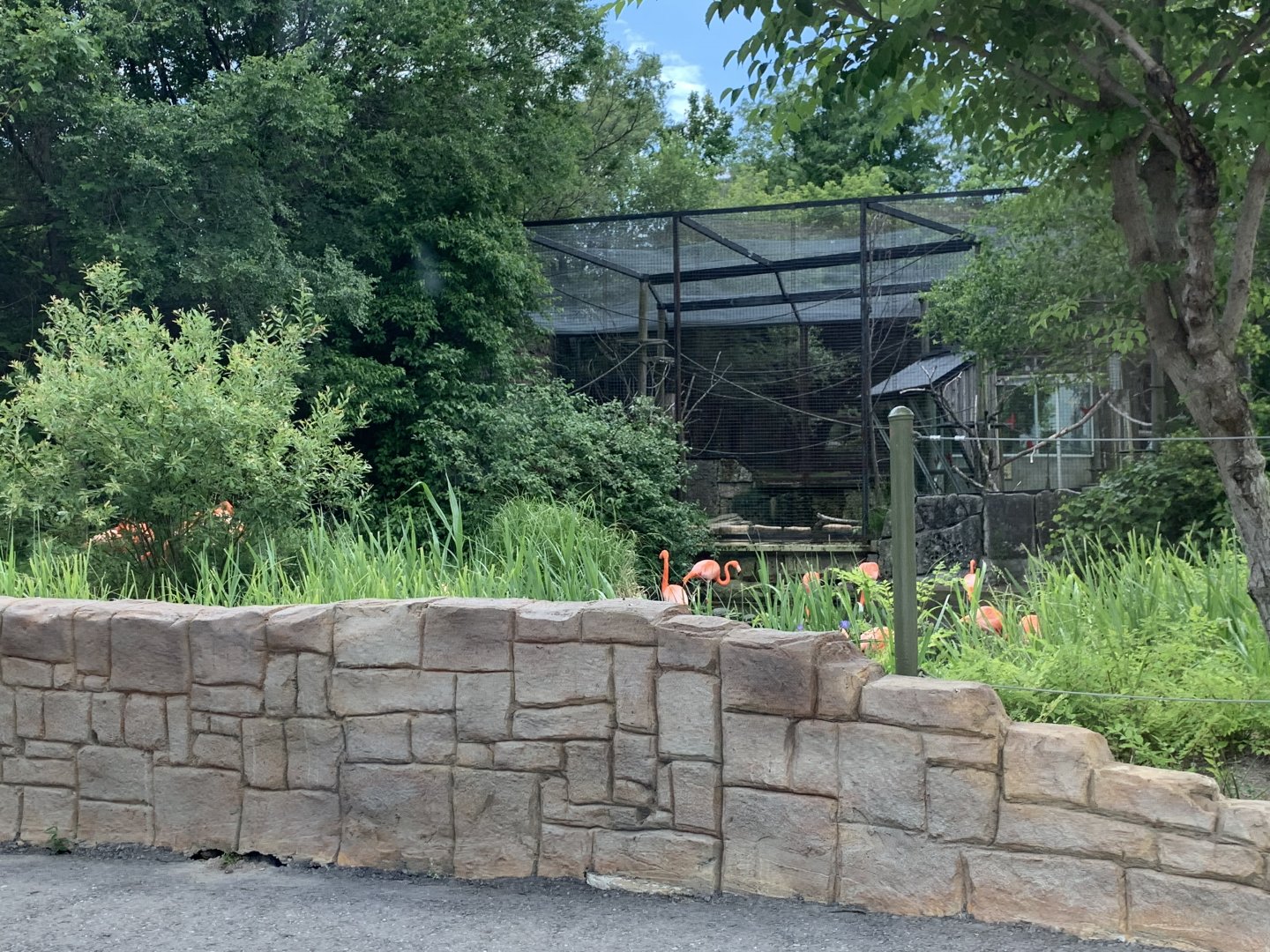 Mayan ruins exhibits