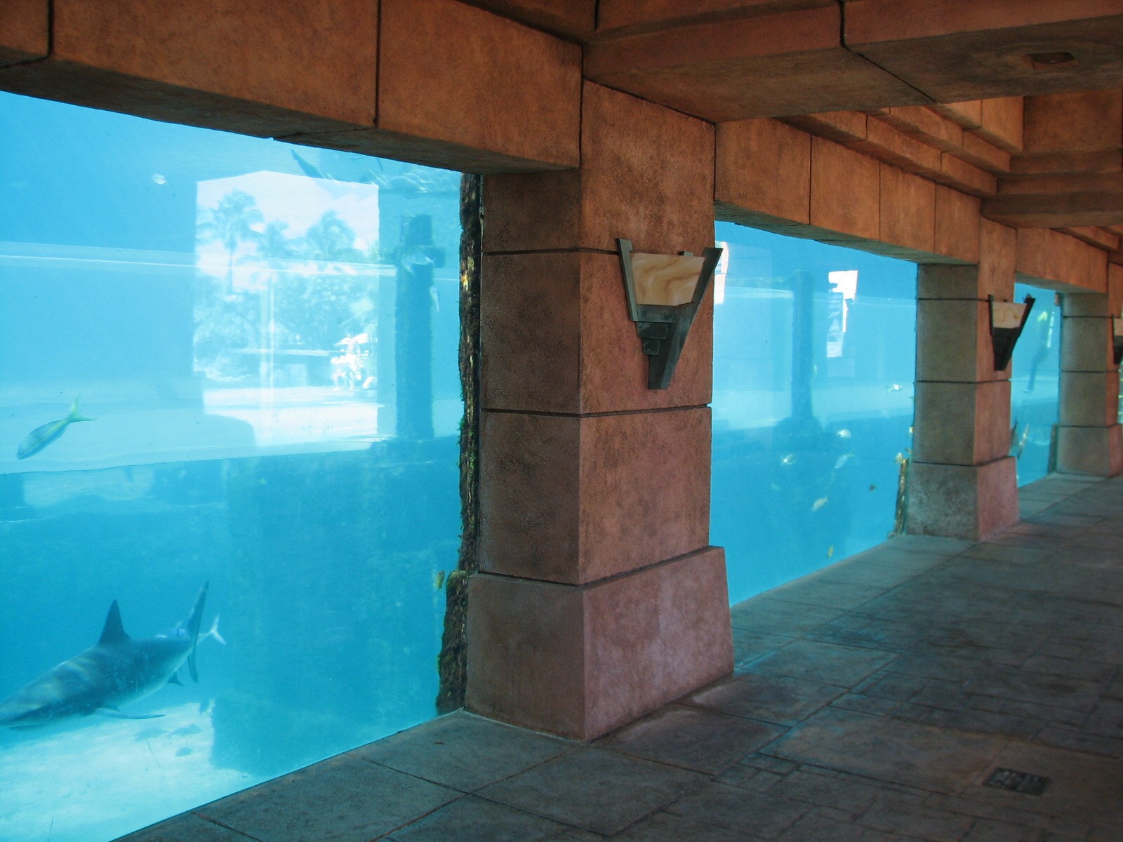 Mayan Temple Lagoon - Underwater Viewing Area