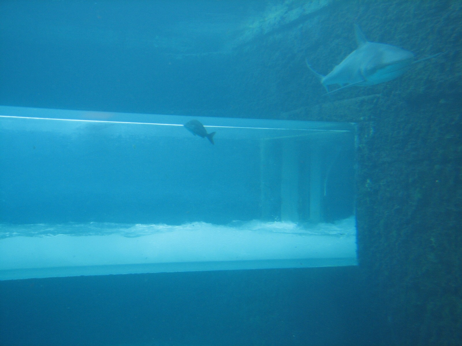 Mayan Temple Lagoon - Waterslide Tube Inside Exhibit