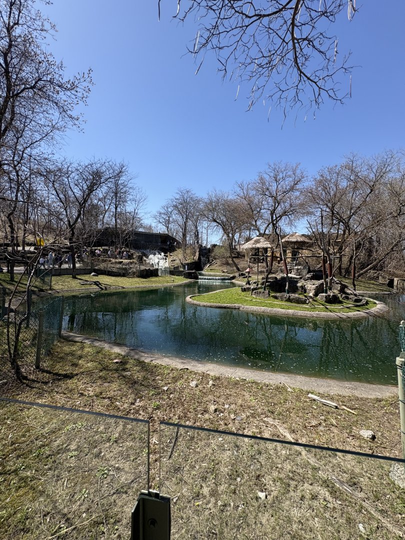 Mayan Temple Ruins - Capybara Habitat
