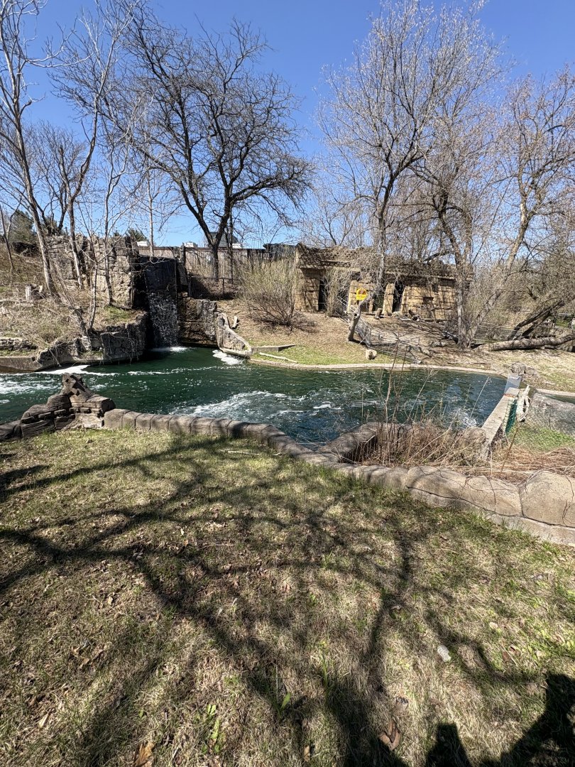 Mayan Temple Ruins - Capybara Habitat