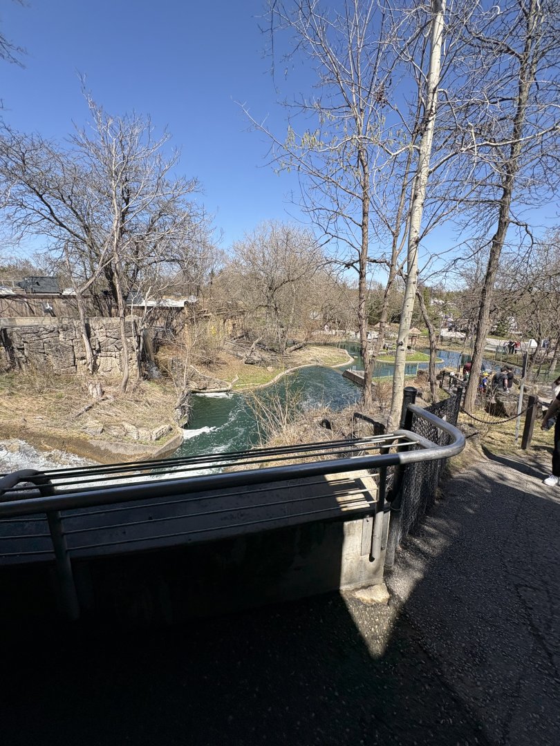 Mayan Temple Ruins - Capybara Habitat