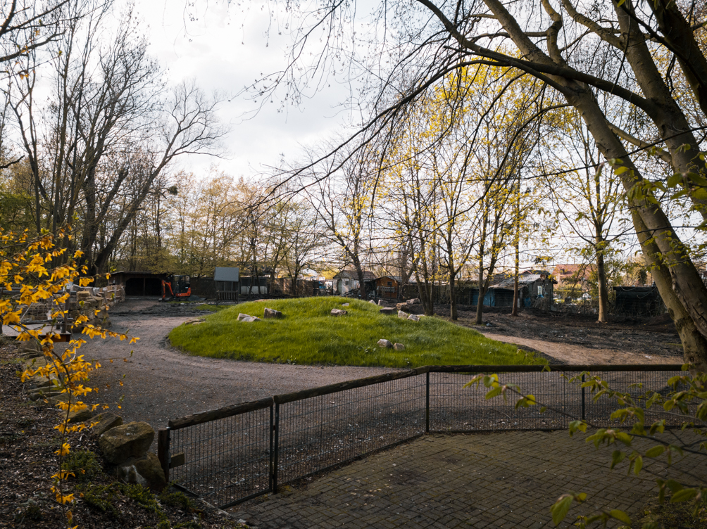 Maybe future Llama and Guanako enclosure