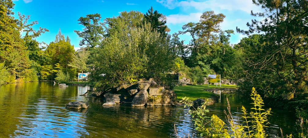 Maybe moose enclosure