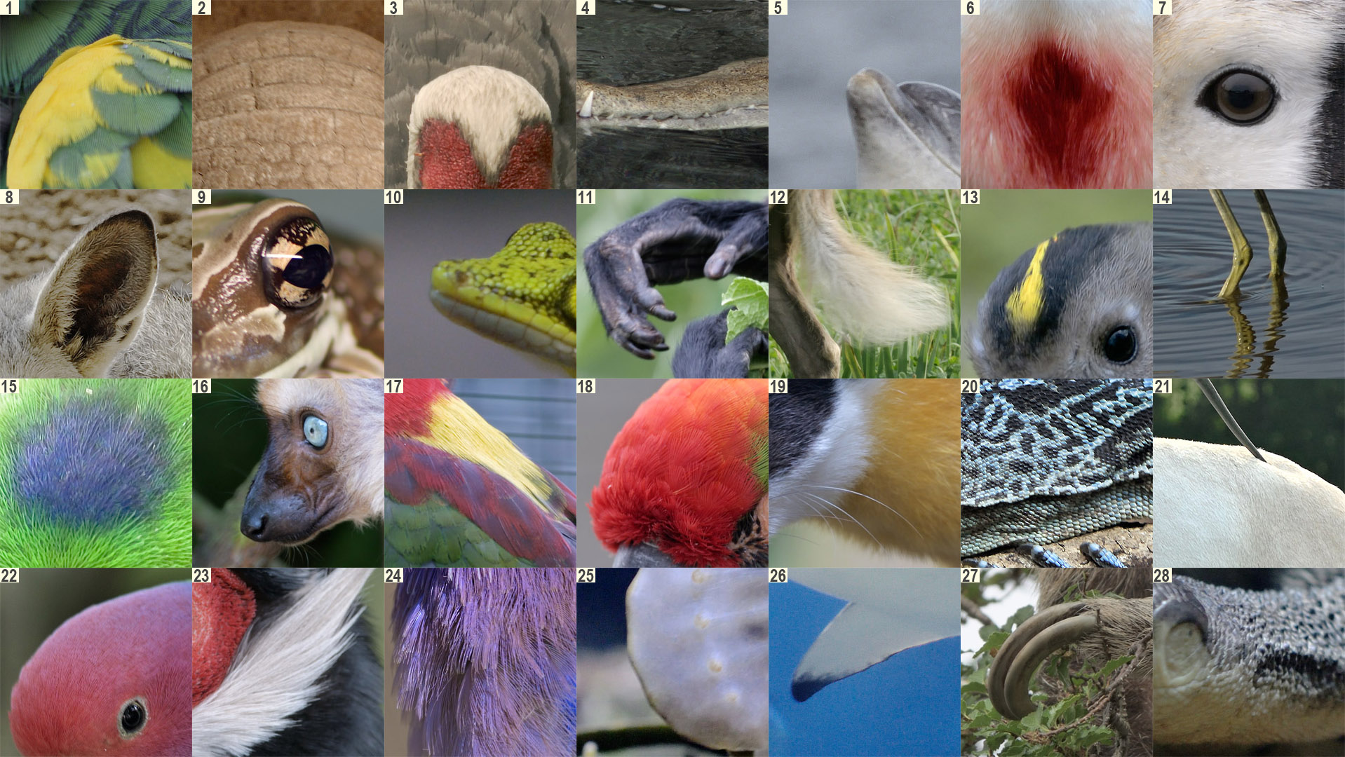 Mayday! Mayday! It's another photo puzzle!