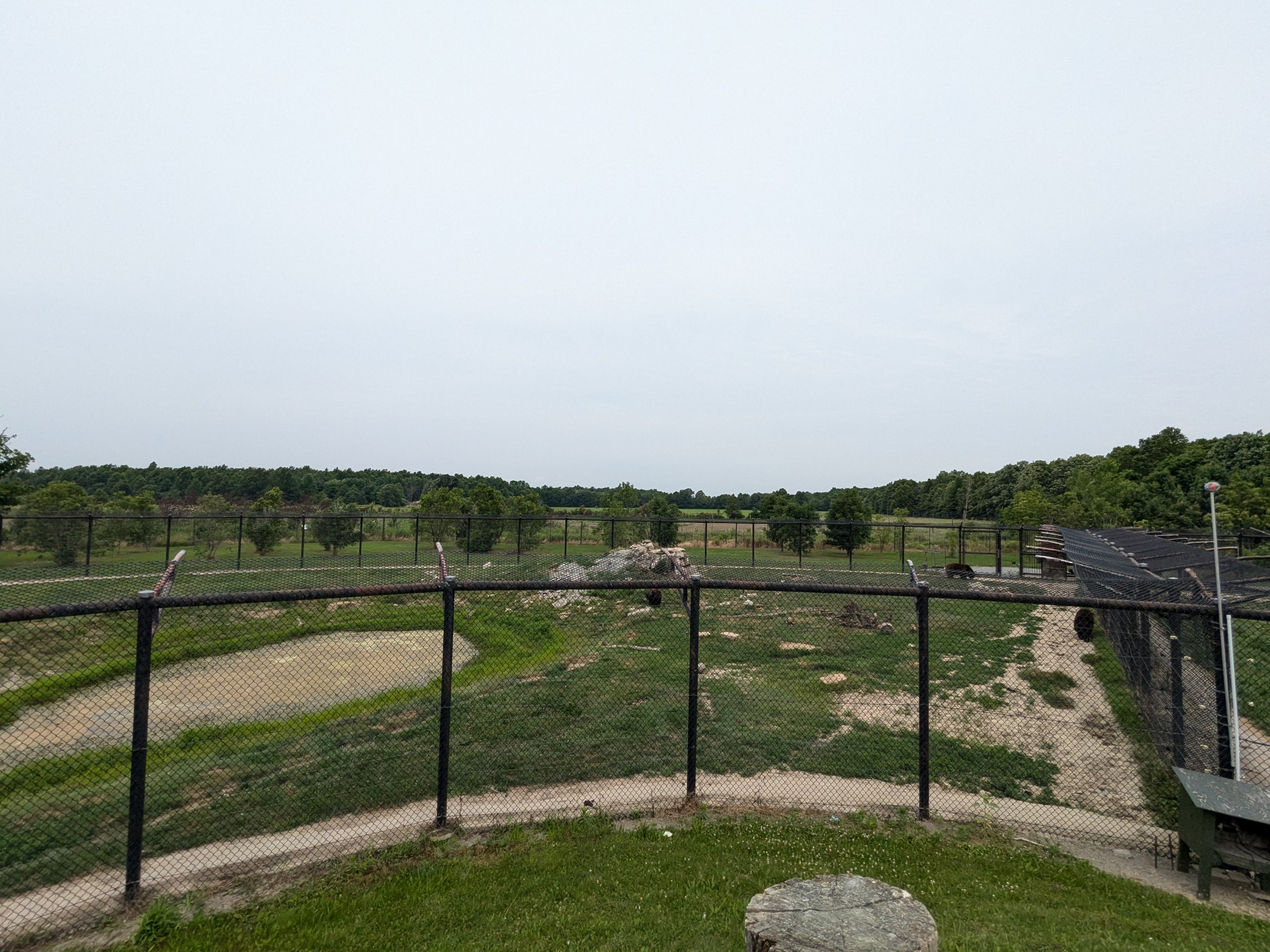 Mbali Outpost - Black bear habitat