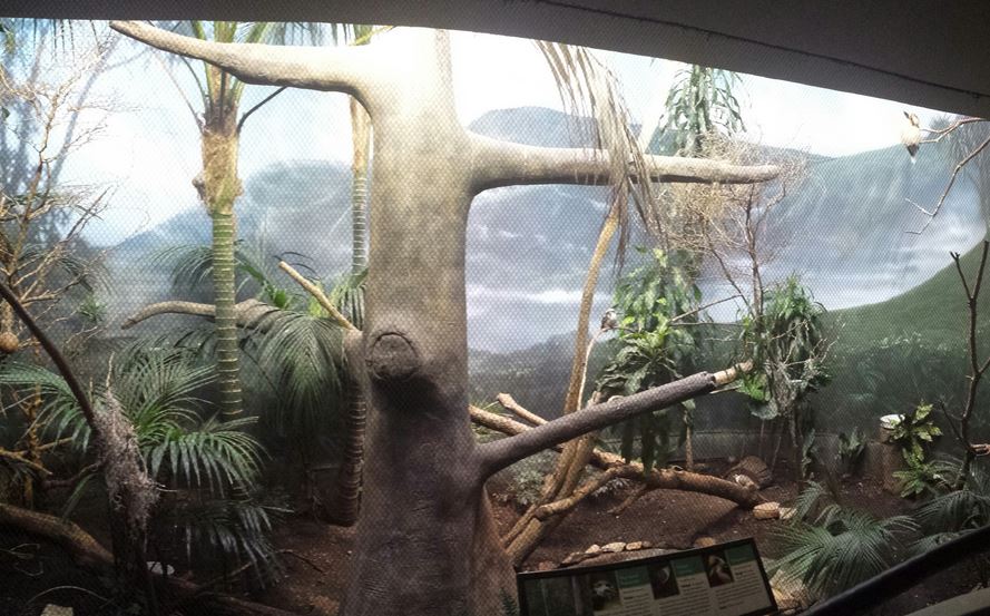 McCormick Bird House - Mountain Clearing