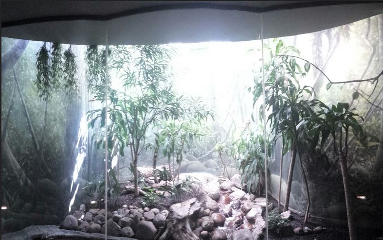 McCormick Bird House - Riverbank