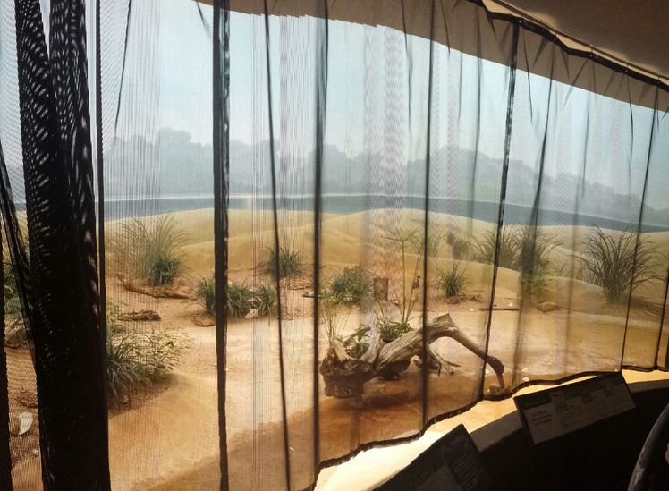 McCormick Bird House - Seashore