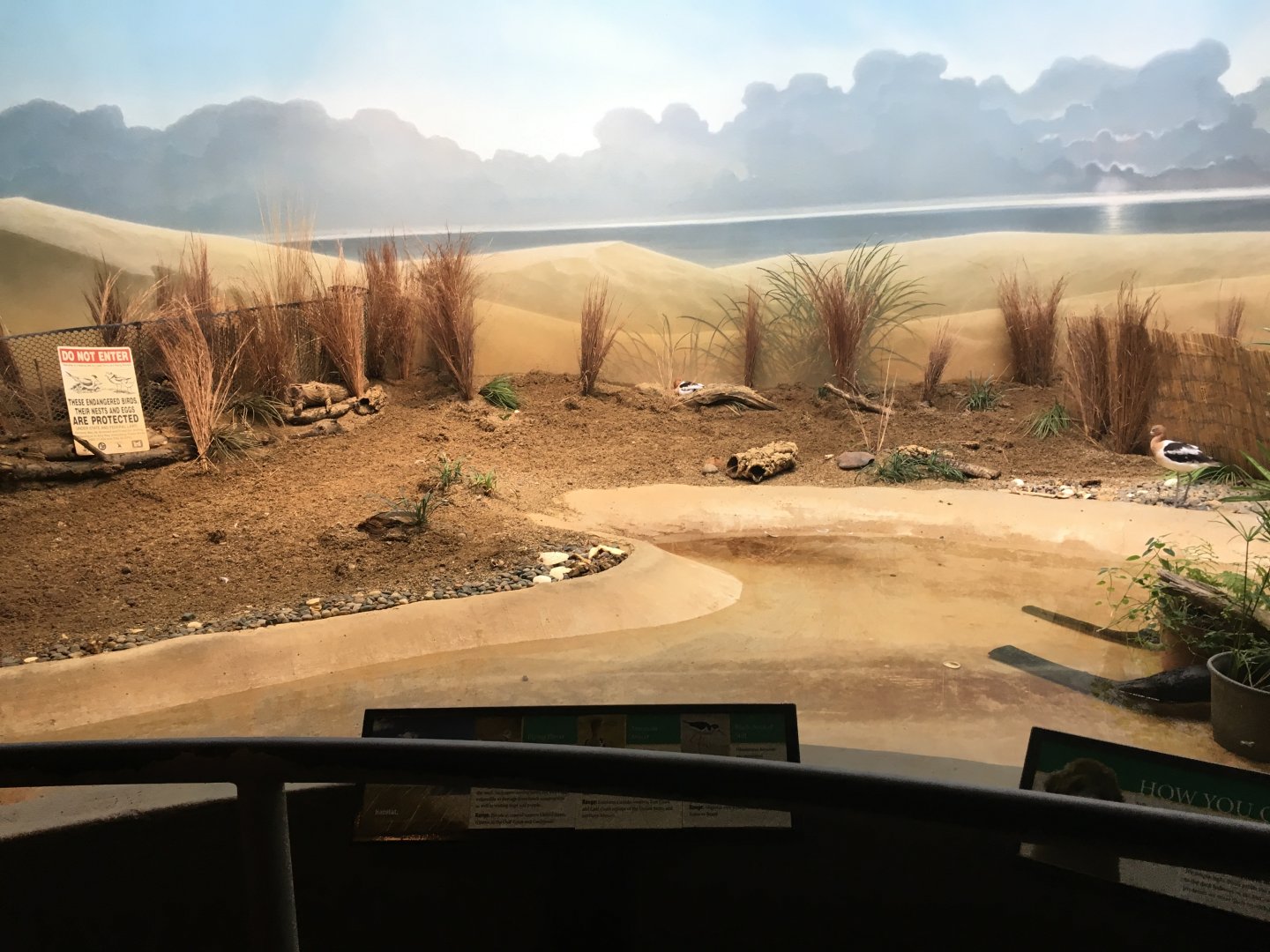 McCormick Bird House - Shorebirds Aviary