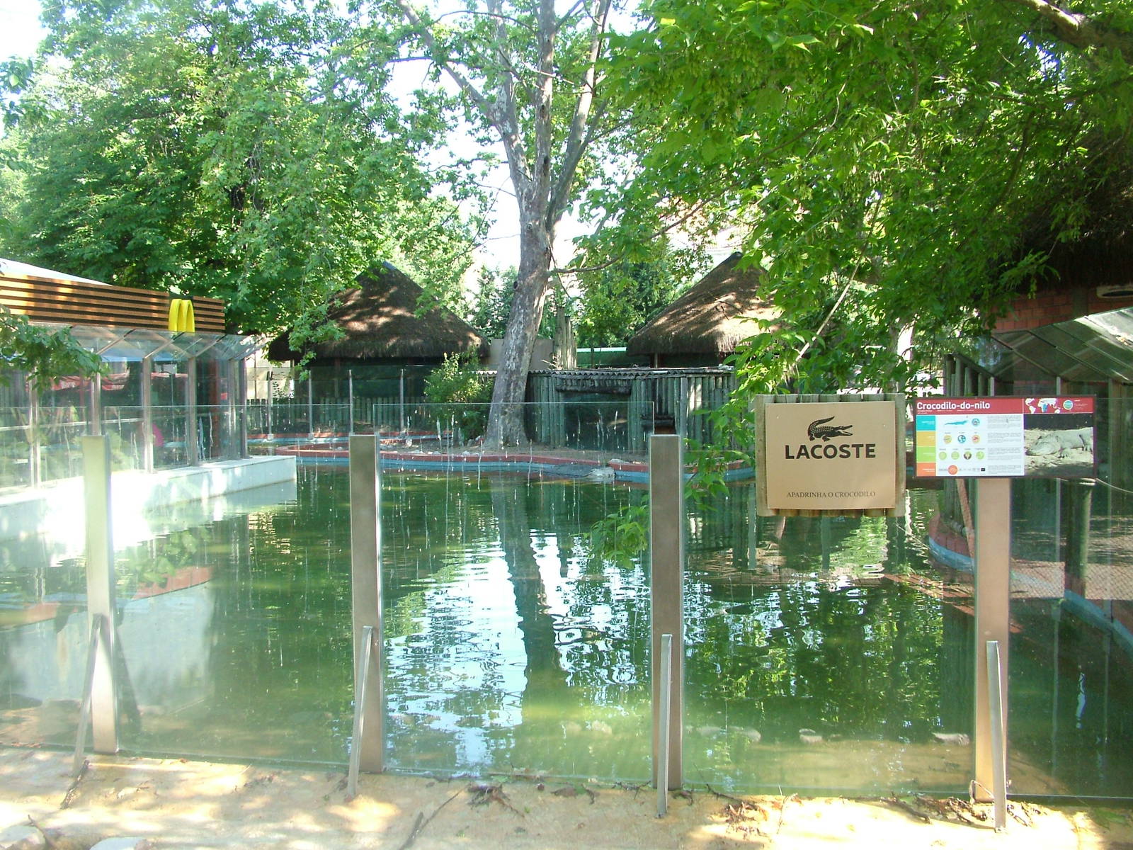 McCrocodile Exhibit at Lisbon Zoo, 24/05/11